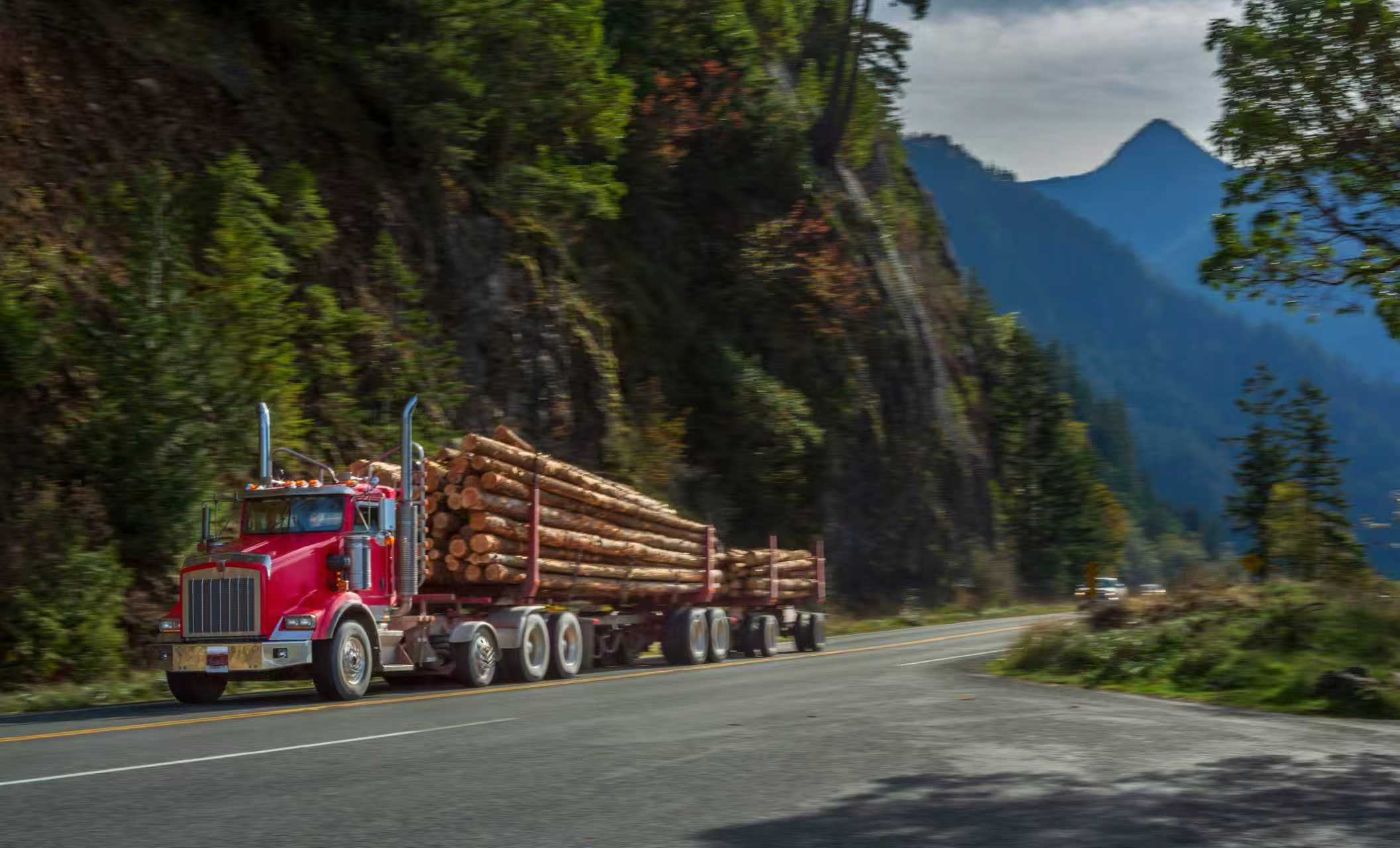 Timber consultation meeting