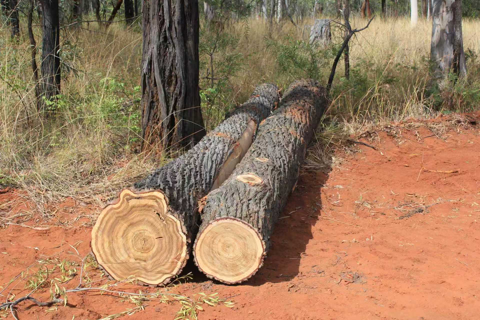 Construction Process