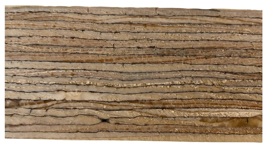 Construction Process